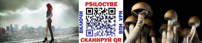 Галлюциногенные грибы MAGIC MUSHROOMS  hydra рабочий сайт  Балей 